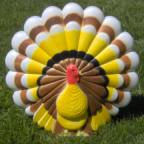 3D Turkeys